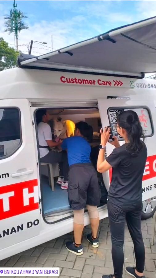 Pemilik hewan menunggu giliran di dekat kendaraan